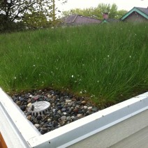 Expanded Clay Green House