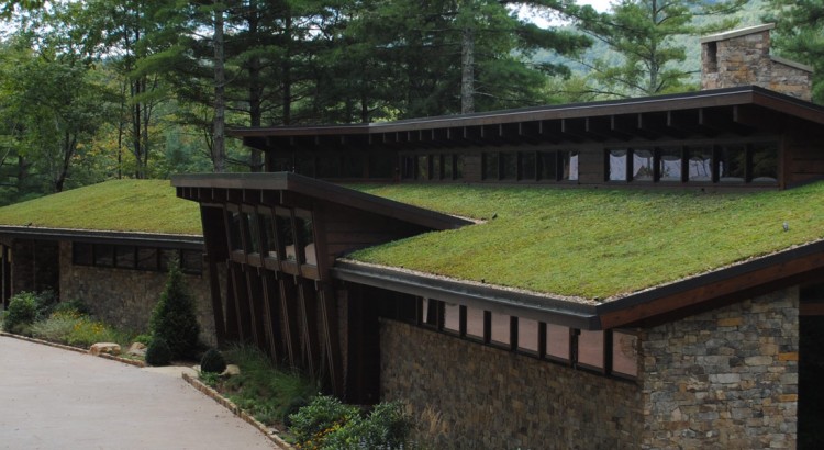 expanded-clay-green-roofing-